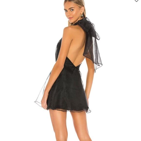 Lovers and Friends Heartbreaker Tulle Mini Dress - Picture 1 of 11
